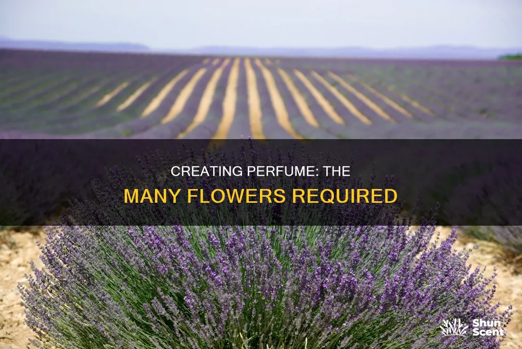 how many flowers to make perfume