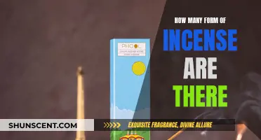 Exploring the Diverse Forms of Incense and Their Uses