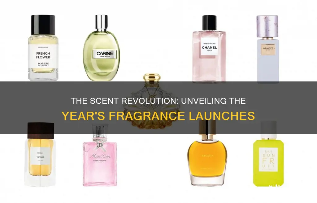 how many fragrance are launched every tyear