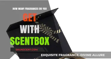 Unbox Your Scent: Discover the Full Fragrance Collection