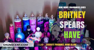 Unveiling Britney Spears' Scent Empire: A Fragrance Collection Overview