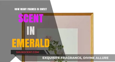 Sweet Scent Frame Count in Pokémon Emerald: A Detailed Guide
