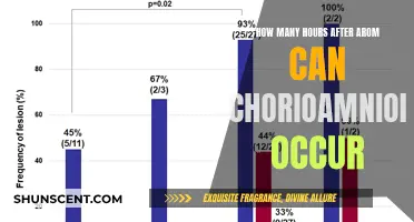 Chorioamnionitis: Hours After Arom and Risk Factors