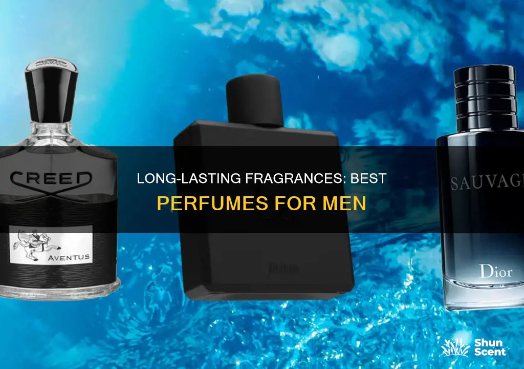 how many hours does the best men perfume last