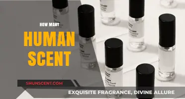 Exploring the Unique Human Scent: How Many Variations Exist?