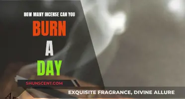 Burning Incense: How Many Sticks Should You Light Daily?
