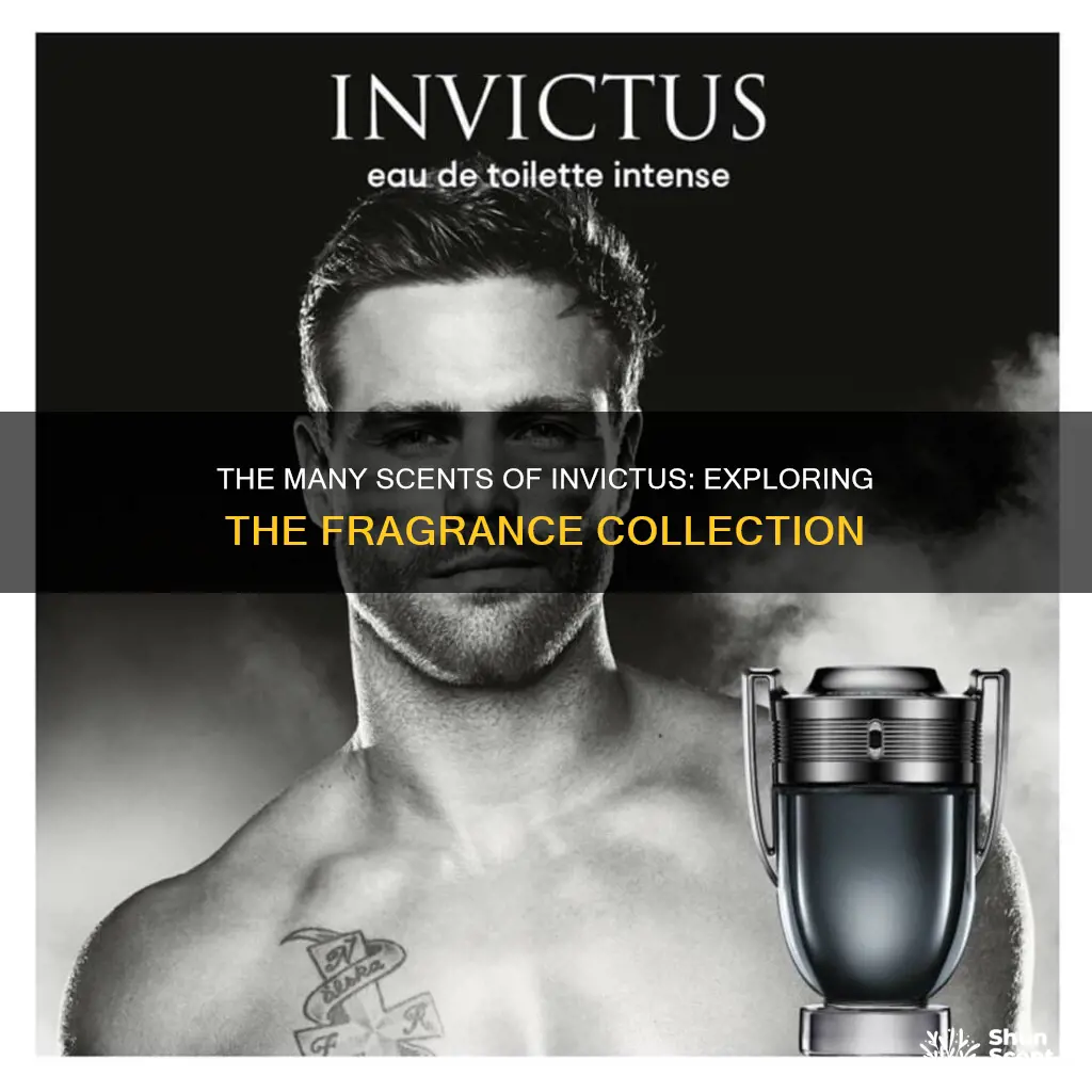 how many invictus colognes are there