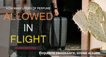 Perfume Allowance in Flights: Understanding the Litre Limit