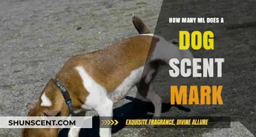 Understanding Dog Scent Marking: How Much Urine Do Dogs Leave Behind?