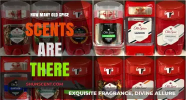Exploring the Diverse Range of Old Spice Scents Available Today