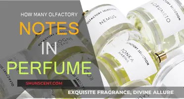 The Magical World of Olfactory Notes in Perfumes