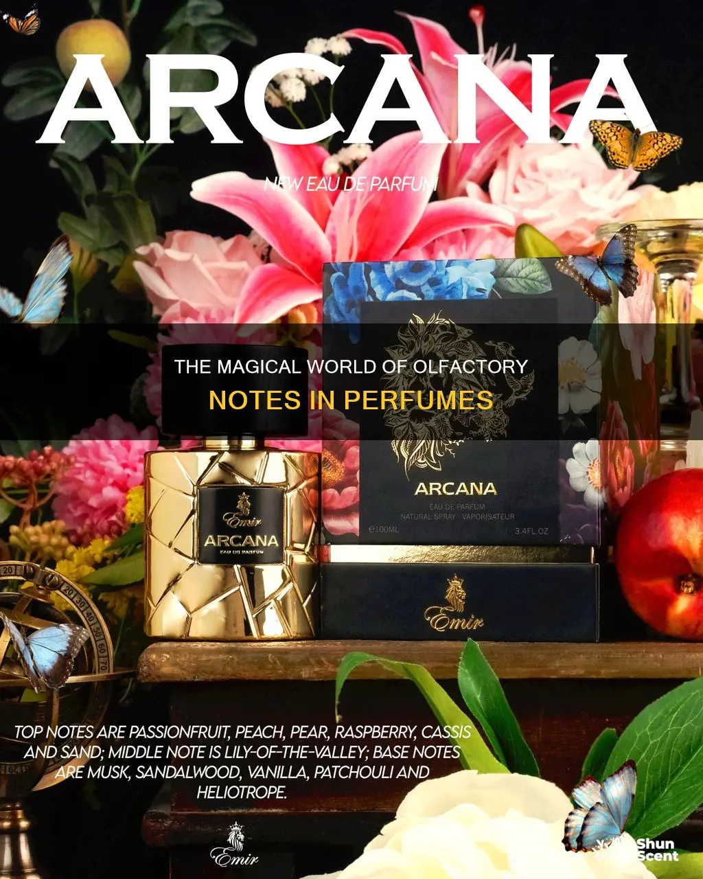how many olfactory notes in perfume