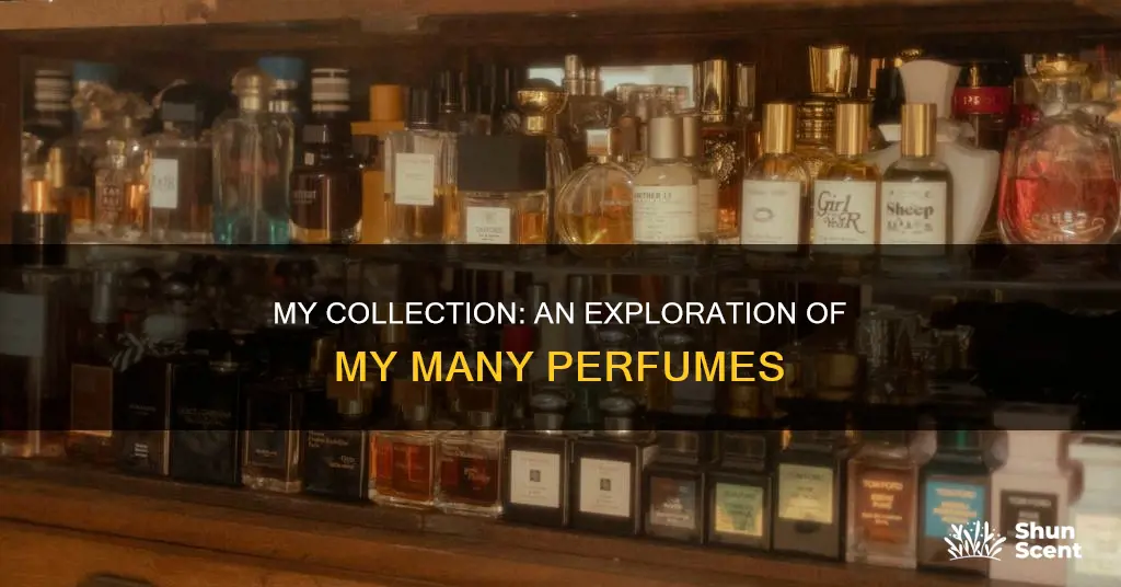 how many perfume that you have