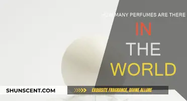 Explore the World of Scents: Countless Perfumes, One Journey