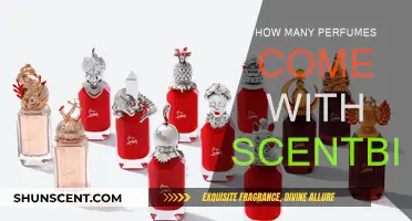 Explore the Fragrance Universe with ScentBir's Perfume Subscription