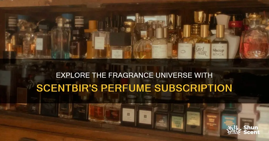 how many perfumes come with scentbir