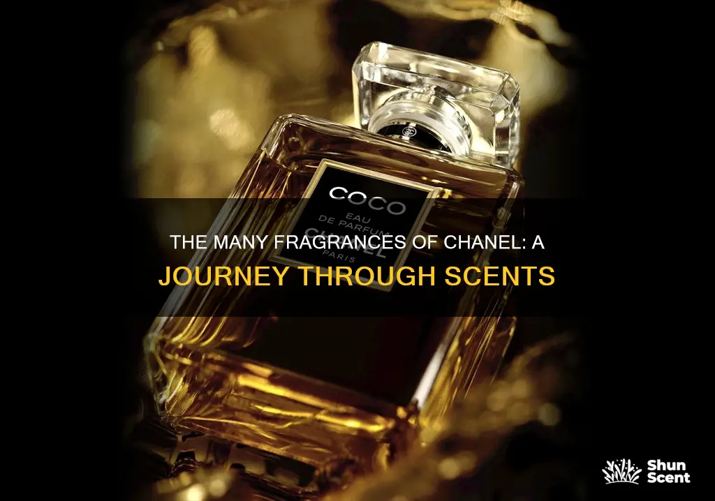 how many perfumes did coco chanel make