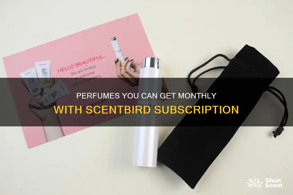 how many perfumes do you get a month with scentbird