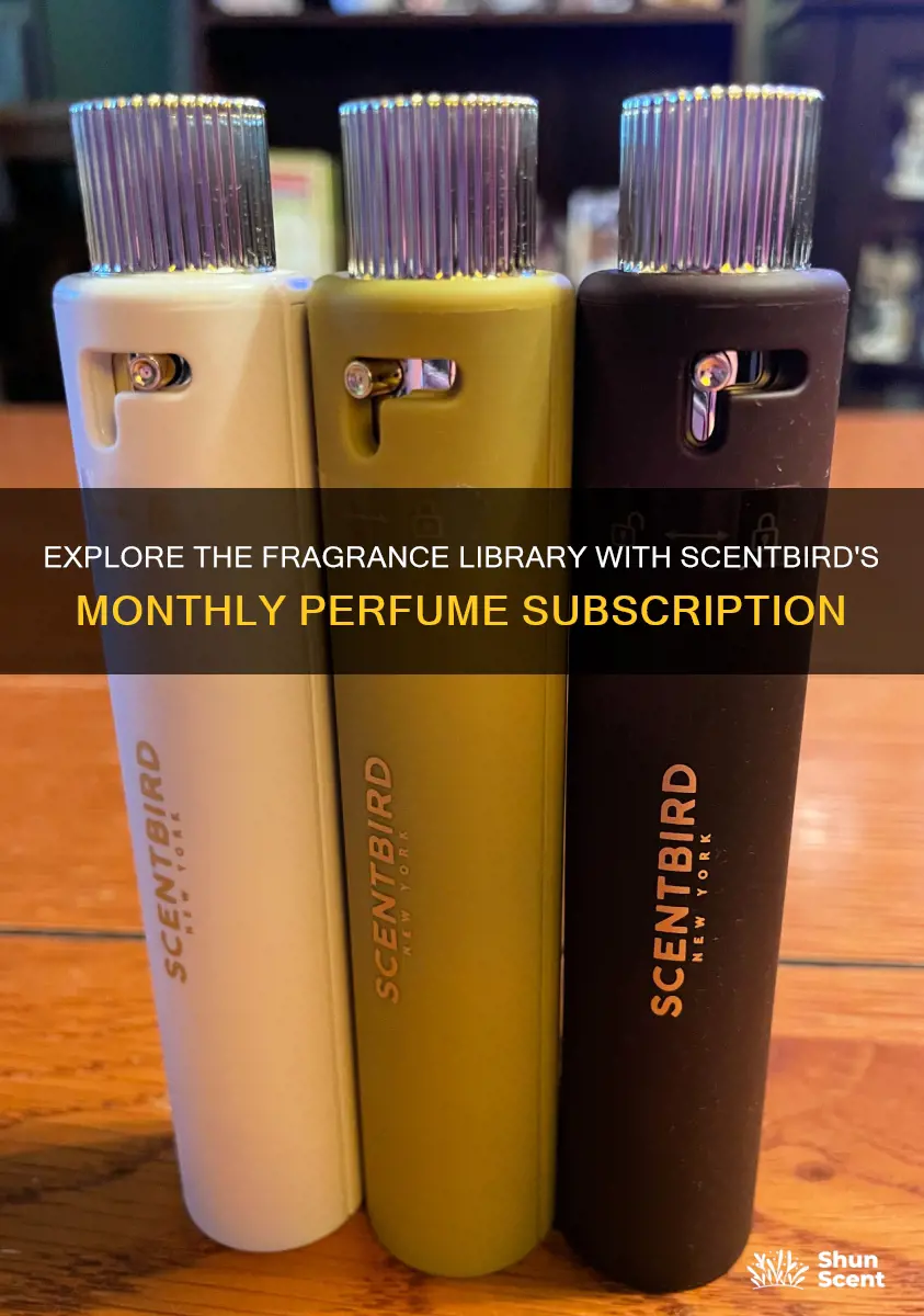 how many perfumes does scentbird send you