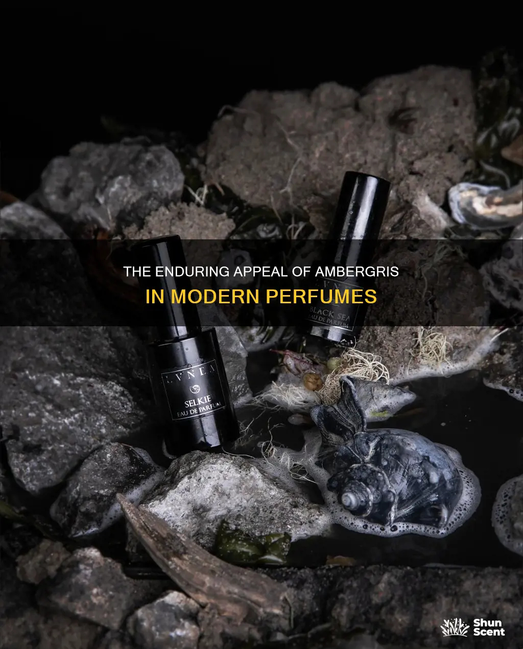 how many perfumes still use ambergris