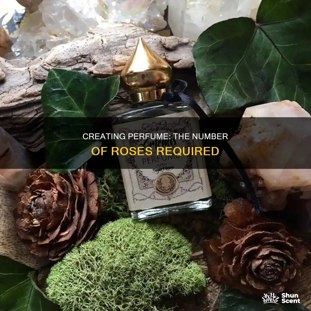 how many roses to make perfume