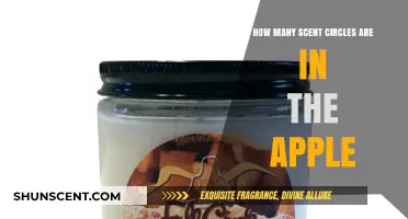 Unveiling the Aromatic Mystery: Scent Circles Within an Apple Explored