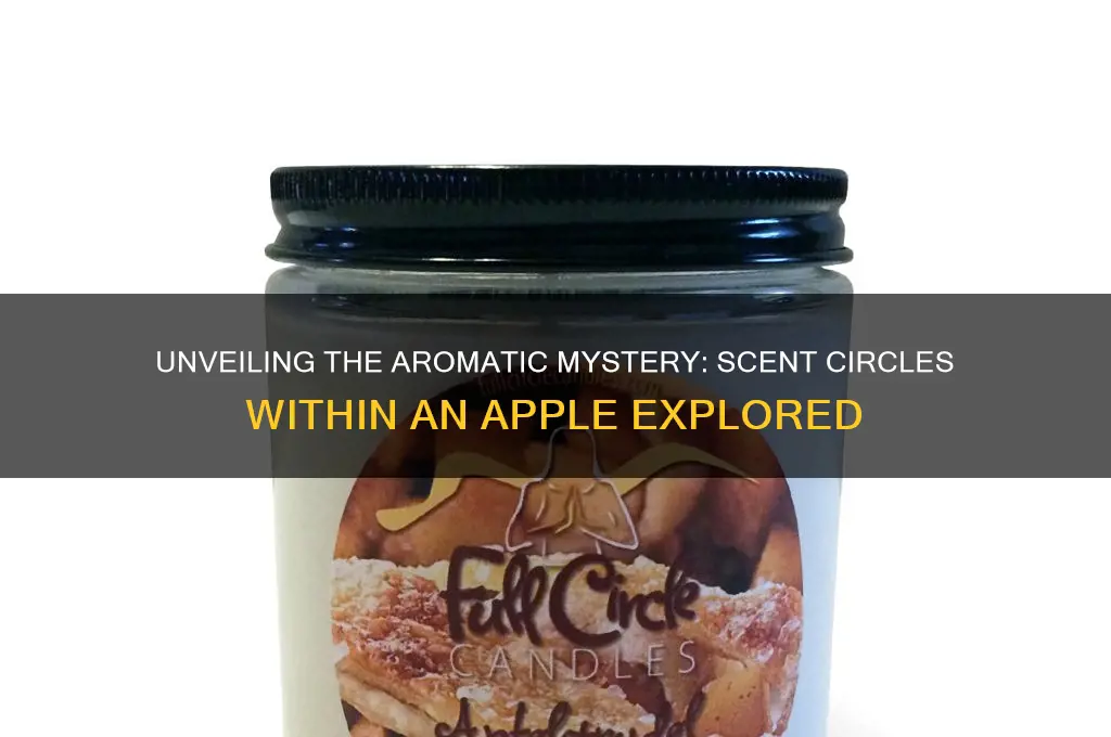 how many scent circles are in the apple