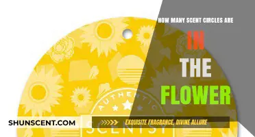 Exploring the Intricate Scent Circles Within a Flower's Fragrance