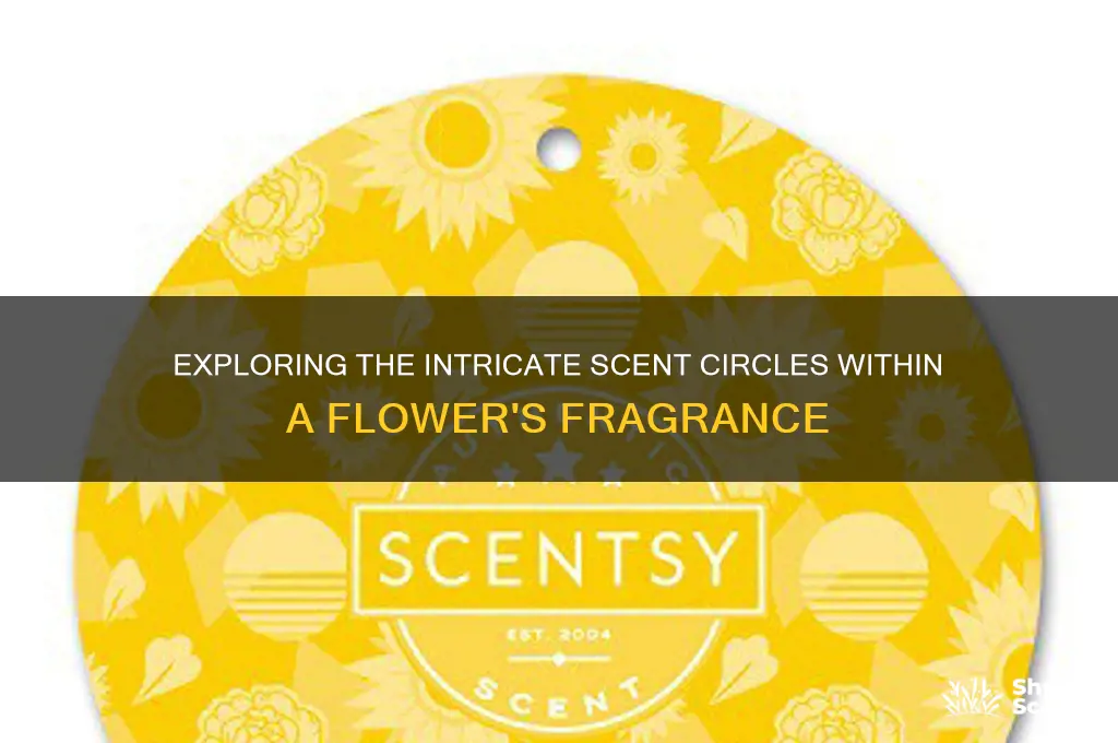 how many scent circles are in the flower