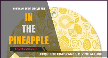 Unveiling the Aromatic Mystery: Scent Circles Within a Pineapple Explored