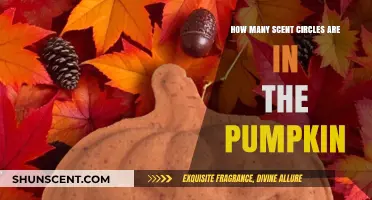 Unveiling the Mystery: Scent Circles Hidden in the Pumpkin