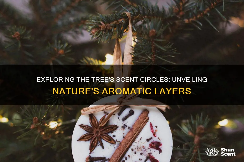 how many scent circles are in the tree