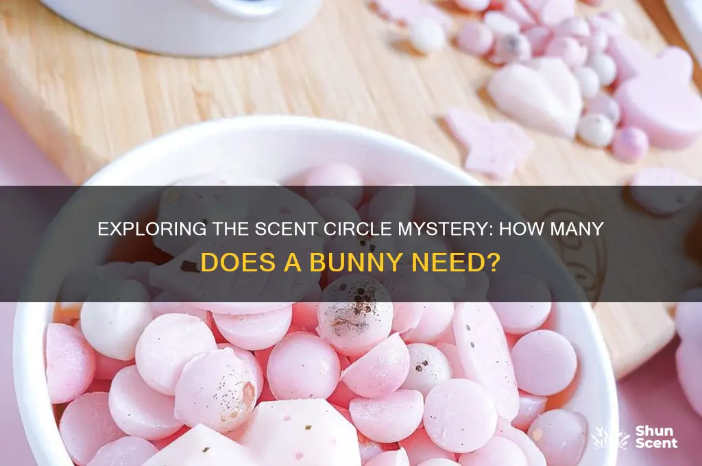 how many scent circles bunny