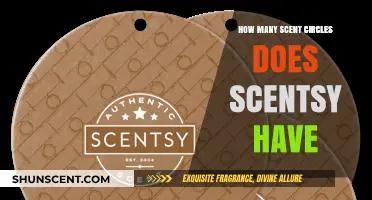 Discover the Variety: Scentsy's Scent Circles Collection Explored