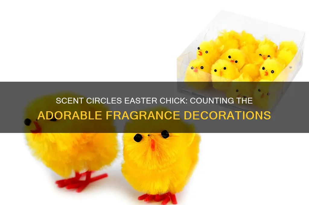 how many scent circles easter chick