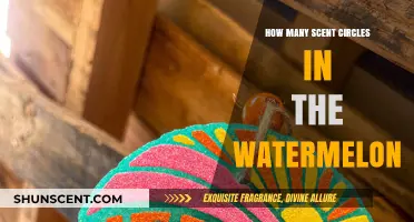 Exploring the Watermelon's Scent Circles: A Fragrant Mystery Unveiled
