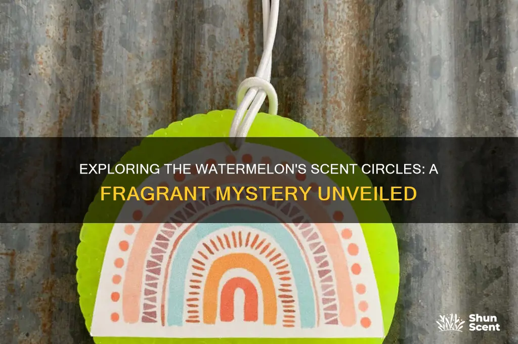 how many scent circles in the watermelon