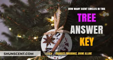 Unveiling the Mystery: Scent Circles in Trees Answer Key Explained