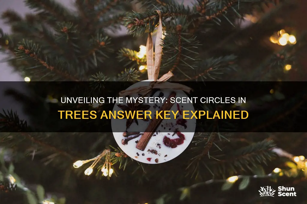 how many scent circles in this tree answer key