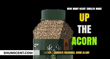 Unveiling the Acorn's Scent Circle Mystery: A Surprising Count