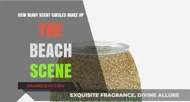 Exploring the Beach Scene: Counting Scent Circles in Coastal Aromas