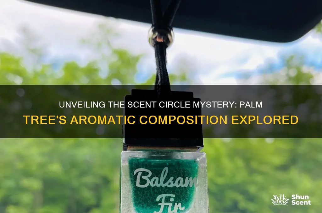 how many scent circles make up the palm tree