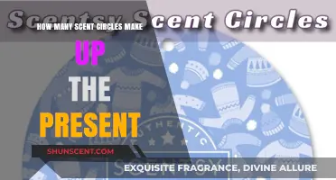 Exploring the Scent Circles That Shape Our Present Reality