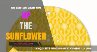 Unveiling the Sunflower's Scent Circle Mystery: A Botanical Exploration