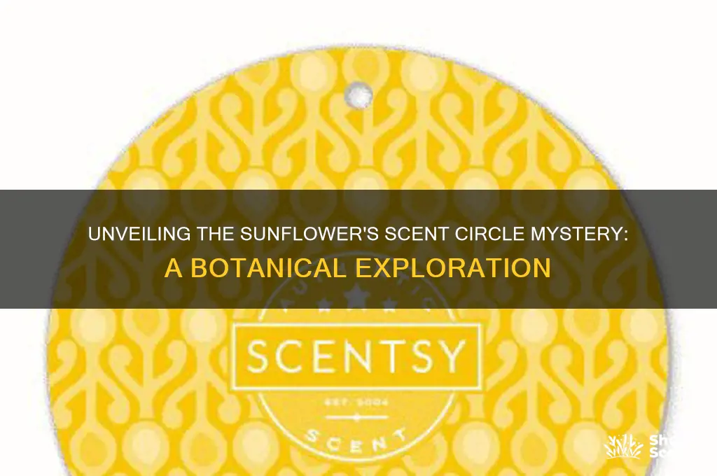 how many scent circles make up the sunflower
