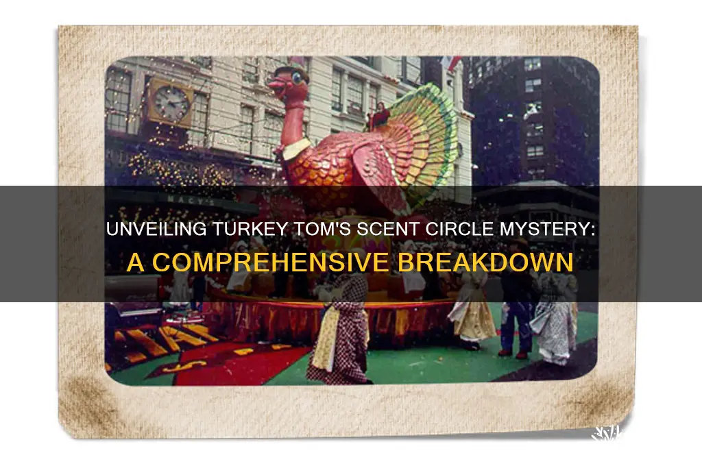 how many scent circles make up turkey tom