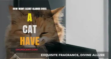 Exploring the Surprising Number of Scent Glands in Cats