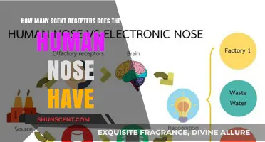 Unveiling the Human Nose's Scent Receptor Count: A Fascinating Discovery