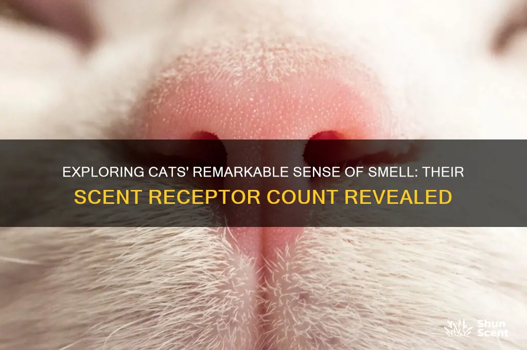 how many scent receptors do cats have