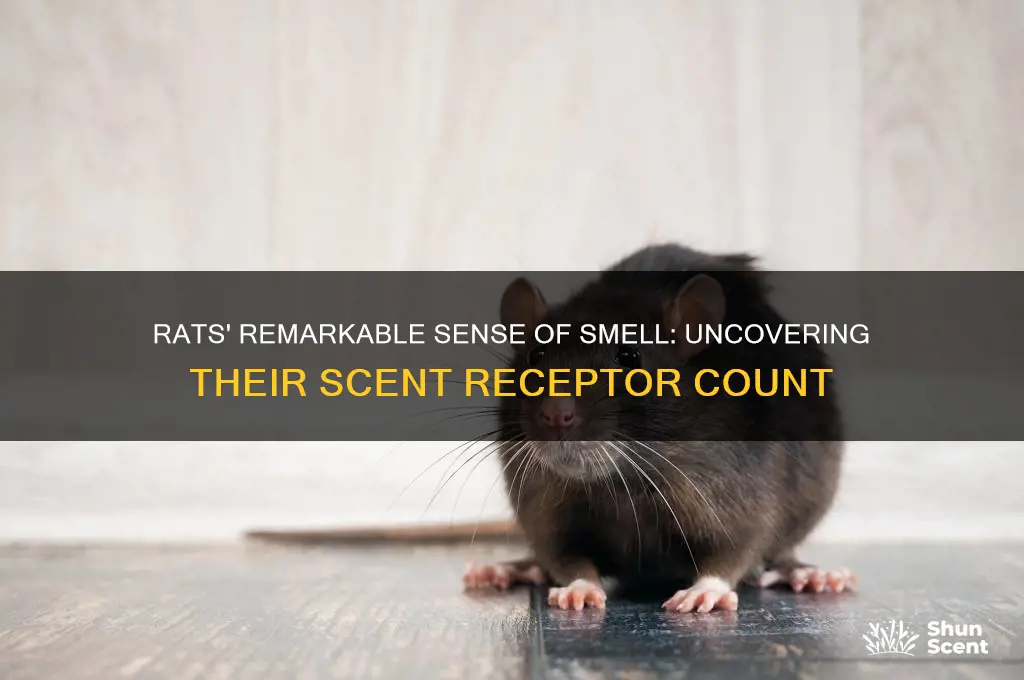 how many scent receptors do rats have
